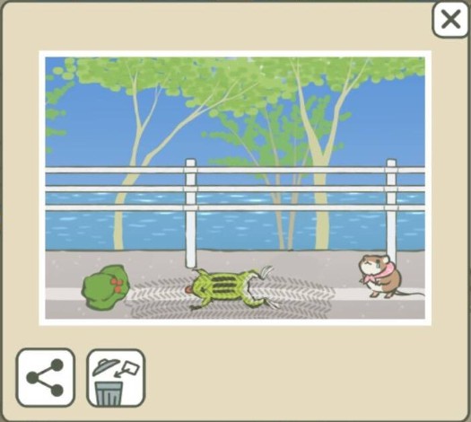 旅行的青蛙 | 沉迷吸蛙的入坑指南