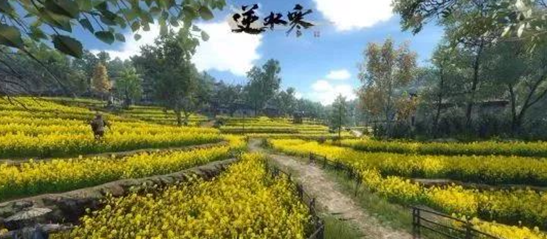 范戴克回应鲁尼批评：上赛季没听他说什么，这很正常 我没有不满