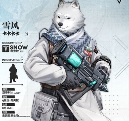 安帅：如果世界杯决赛巴西遇上意大利，对我情感上是最完美的结局