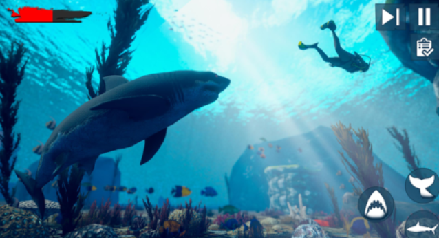 人气较高的鲨游戏下载排行 受欢迎的鲨鱼游戏推荐2024