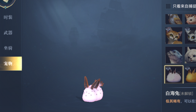 黎明之海白海兔怎么获取 黎明之海白海兔如何获得
