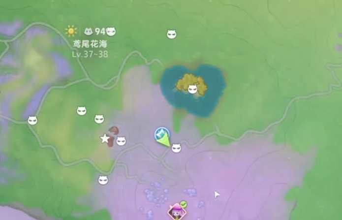 伊莫鳶尾花海地圖介紹 伊莫鳶尾花海攻略