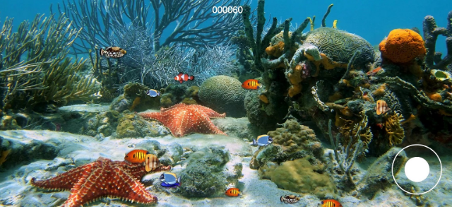 大魚吃小魚的游戲叫什么 2025好玩的大魚吃小魚的游戲盤點(diǎn)