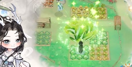 华夏千秋好感度怎么提升 华夏千秋好感度多少表白 华夏千秋好感度怎么提升 华夏千秋好感度多少表白