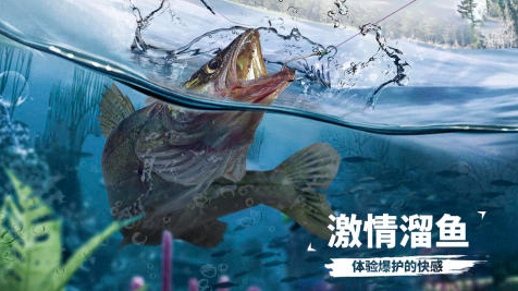 2025老年人開心的互動(dòng)游戲有哪些 好玩的中老年游戲合集