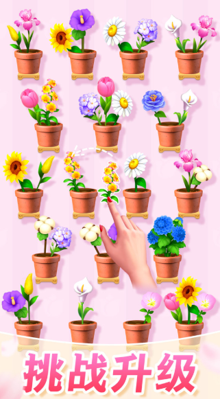 插花消除游戲哪些值得玩2025 優(yōu)質的插花消除游戲推薦