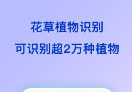 掃一掃識(shí)別圖片找原圖app有什么 好用的識(shí)別圖片軟件推薦