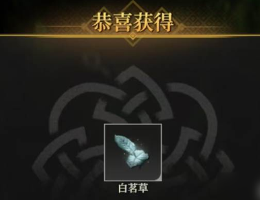 地下城堡4白茗草位置在哪里 地下城堡4白茗草怎么獲取