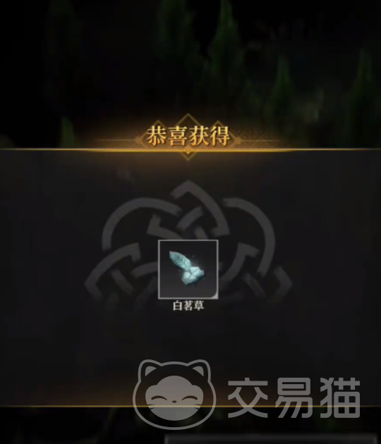 地下城堡4白茗草位置一览 地下城堡4白茗草高效获取攻略