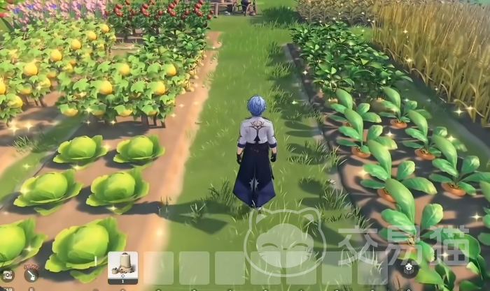 蓝色星原旅谣种田玩法全解析 蓝色星原旅谣高效种田技巧与资源规划指南