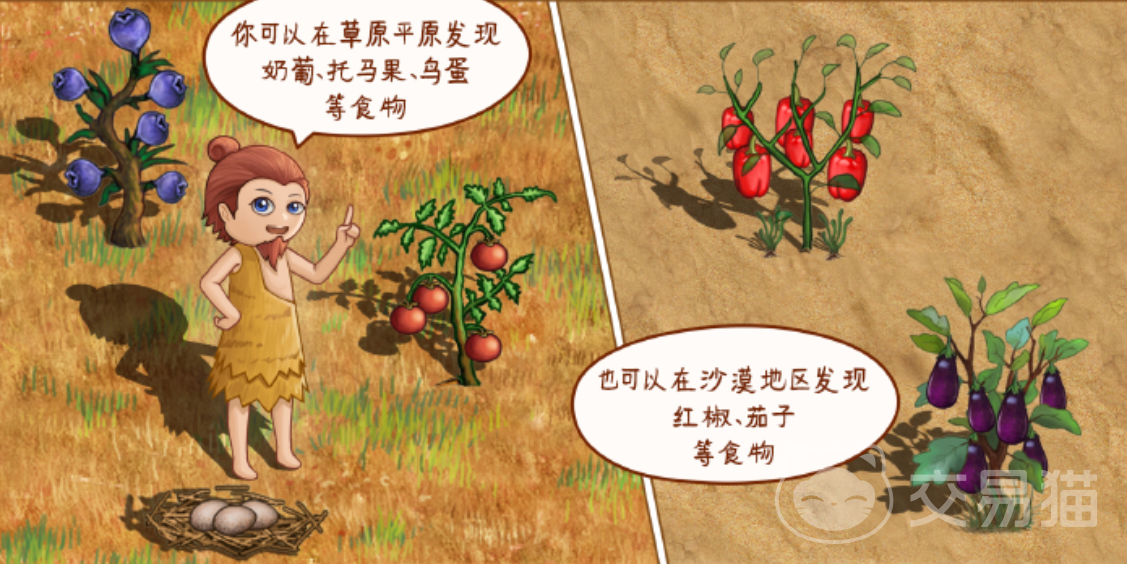 村落人生食物制作全攻略 村落人生食物怎么制作方法详解