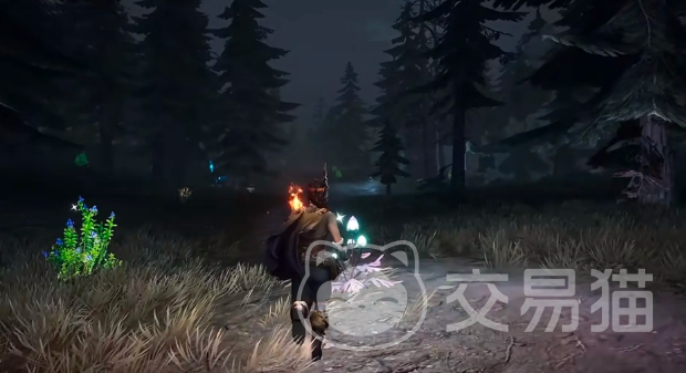 荒原曙光防腐棉种植全攻略 荒原曙光高效种植技巧与步骤详解