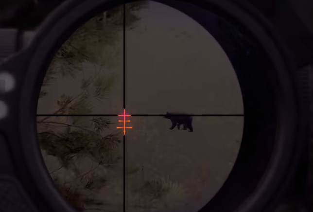 獵人之路怎么打熊 獵人之路打熊方法