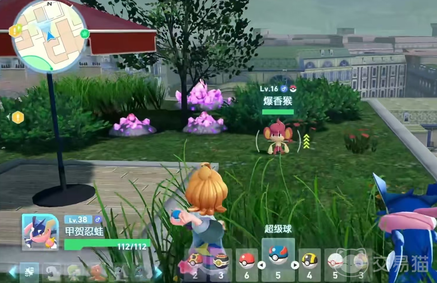 宝可梦传说Z-A爆香猴强度解析 宝可梦传说Z-A爆香猴实战表现与配招建议