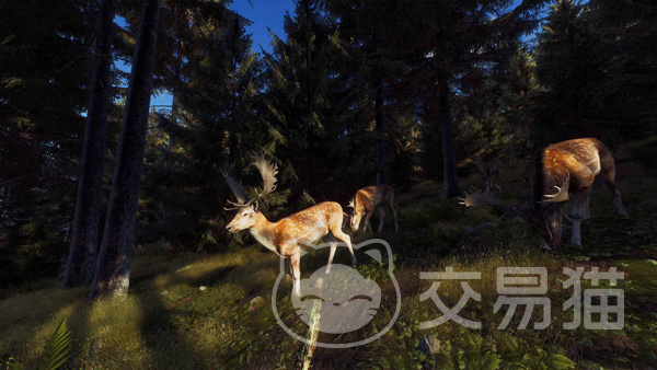猎人之路任务怎么做 猎人之路任务全流程攻略