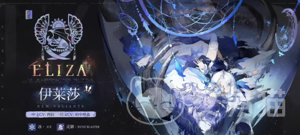 辉烬伊莱莎搭配攻略 辉烬伊莱莎配装与角色组合技巧