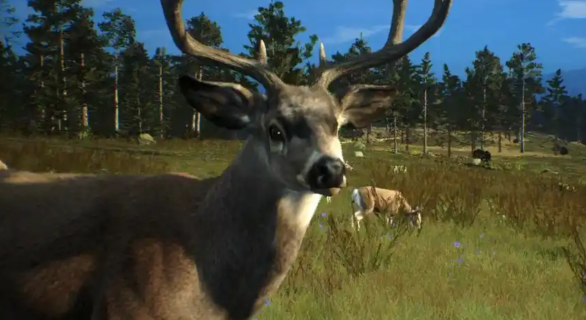 猎人之路有哪些动物 猎人之路全动物种类详细介绍