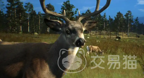 猎人之路有哪些动物 猎人之路全动物种类详细介绍