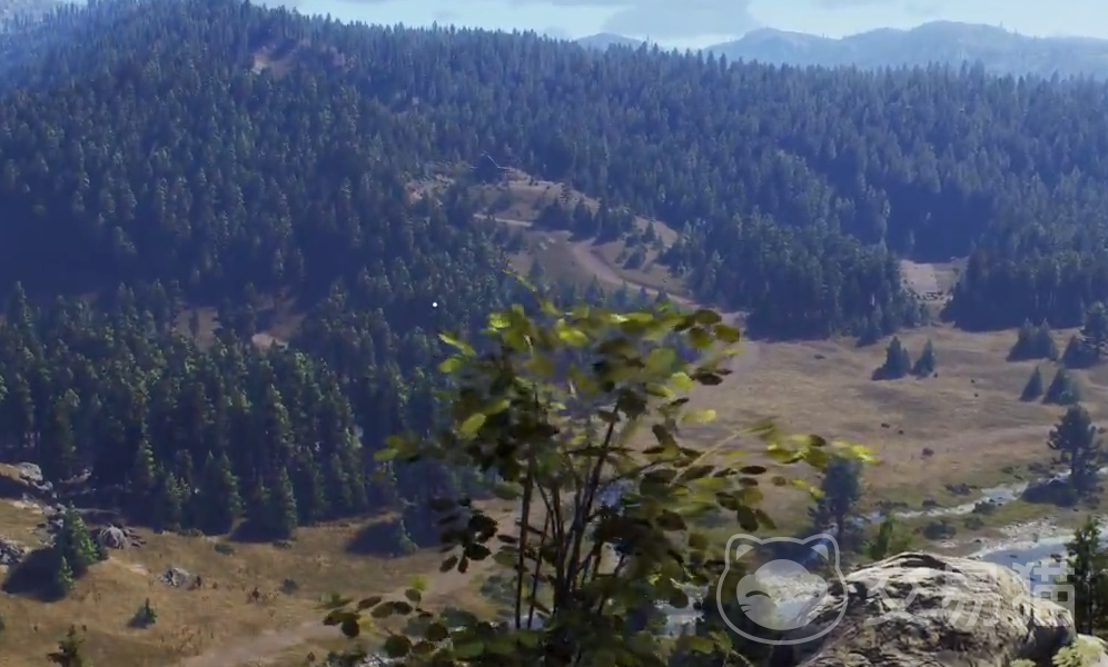 猎人之路英文名是什么 猎人之路英文名称详细介绍