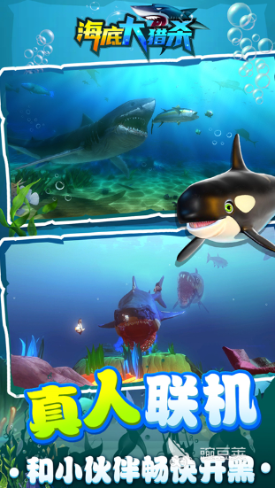 2025最受歡迎的大魚游戲推薦：經(jīng)典玩法排行榜TOP精選