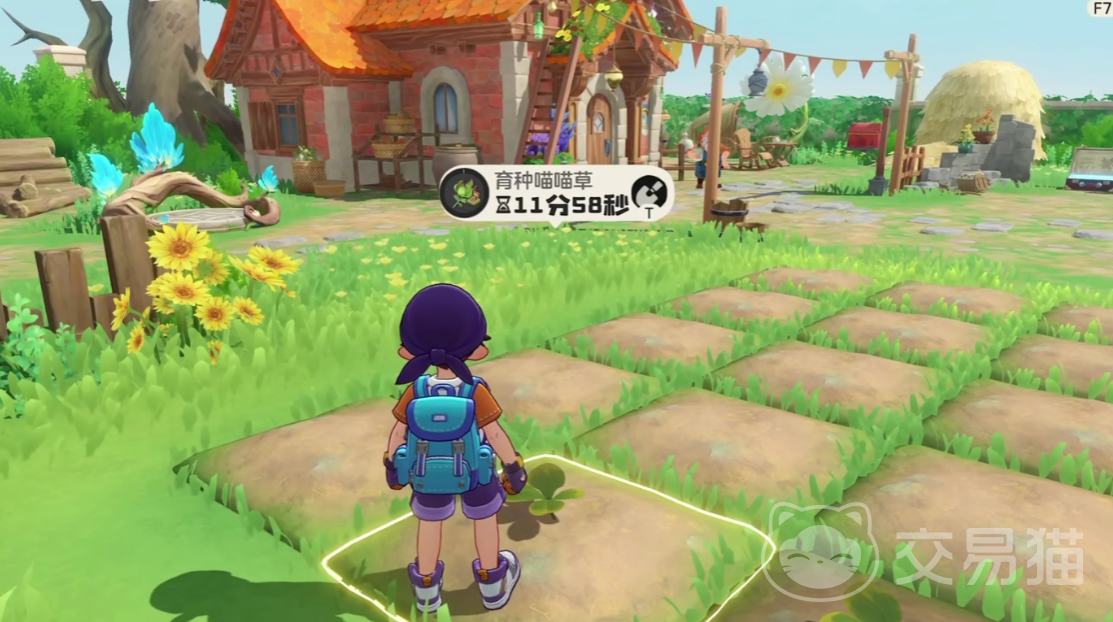 洛克王国世界家园位置揭秘 洛克王国世界家园玩法全攻略