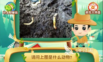 2025最受歡迎的猜動(dòng)物游戲推薦：十大趣味互動(dòng)游戲排行榜