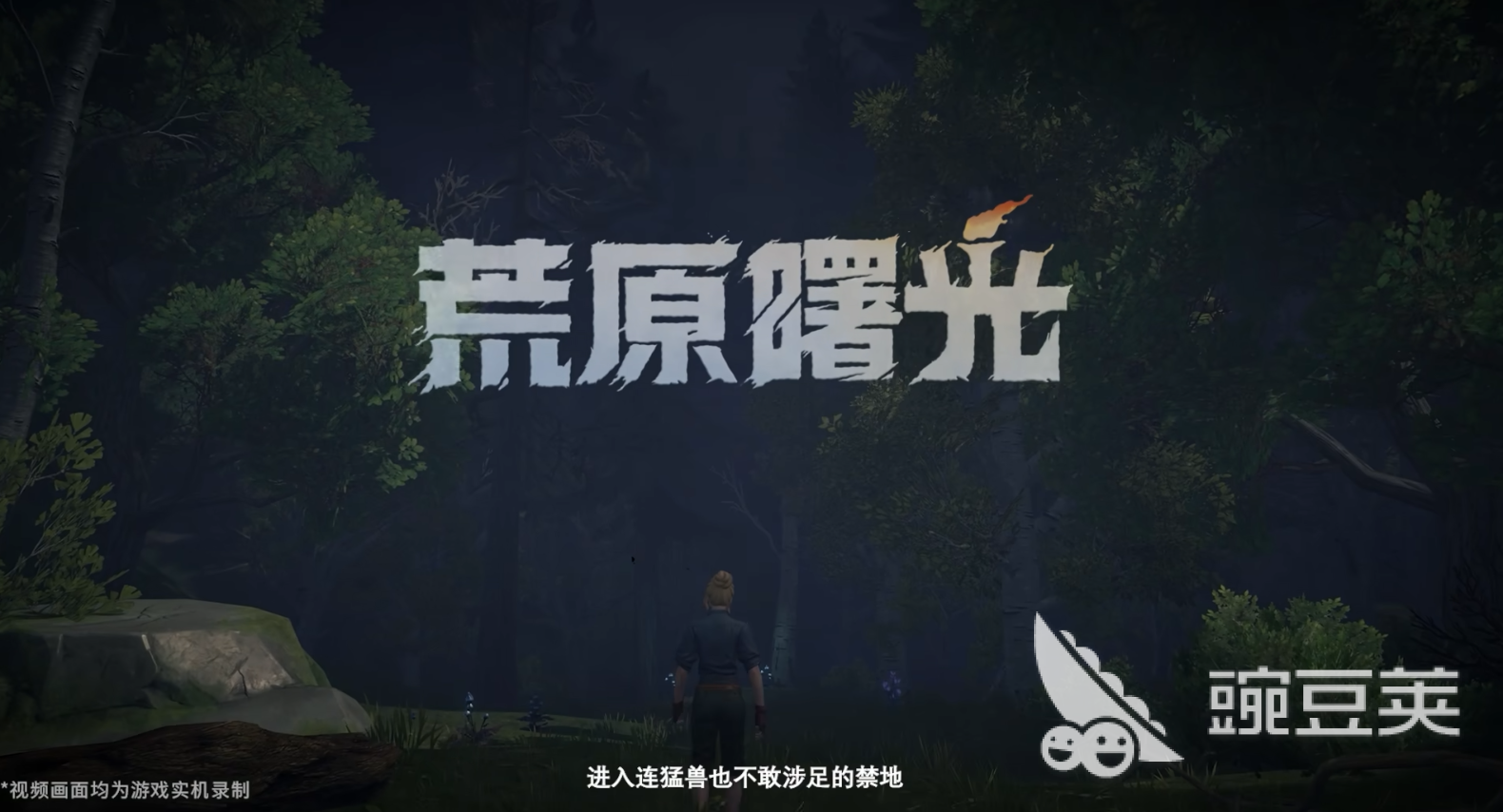 荒原曙光是單機游戲嗎？游戲類型與玩法詳細介紹