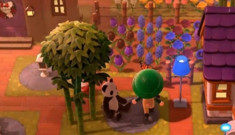 星布谷地種植采集攻略 星布谷地如何種植