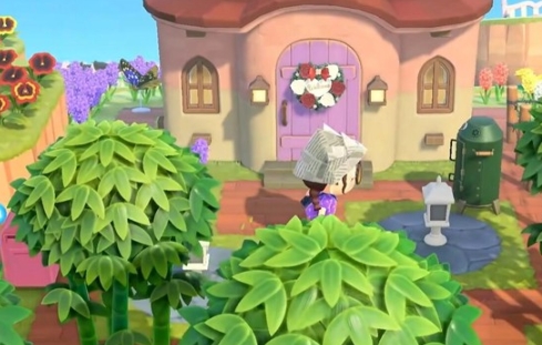 星布谷地新手玩法指南 星布谷地新手怎么玩