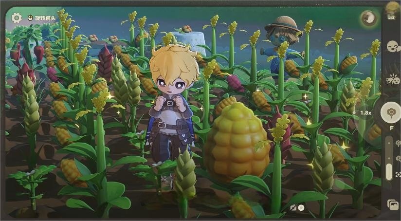 星布谷地变异果实获取攻略 星布谷地变异果实收集技巧大全