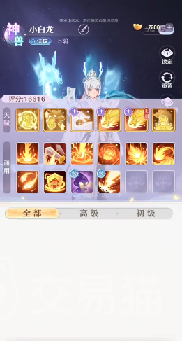 代号西行合宠怎么玩 代号西行合宠玩法全解析