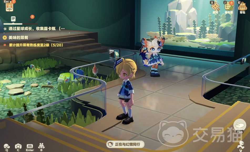 星布谷地幻雪怎么样 星布谷地幻雪角色强度与玩法全解析