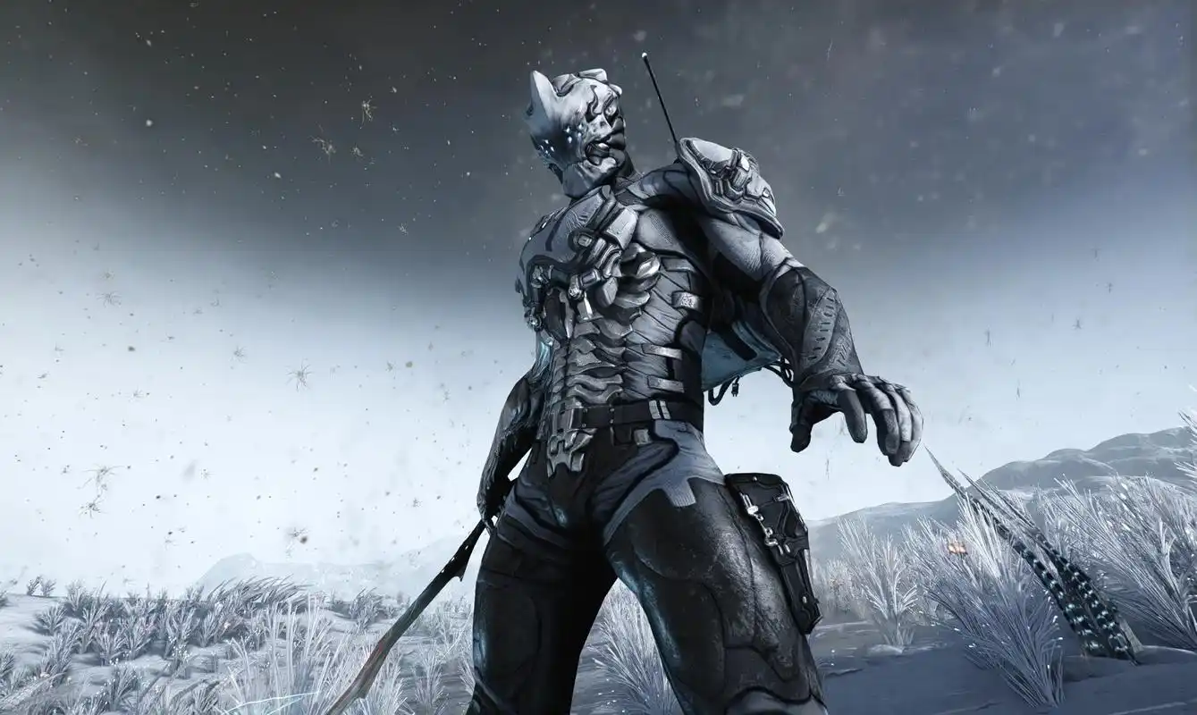 星际战甲手游是国服还是国际服 星际战甲手游玩法与服务器选择全解析