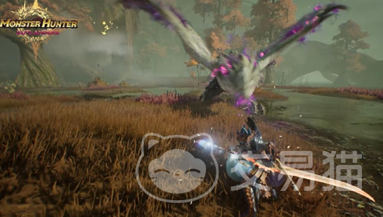 怪物猎人旅人国服火龙强度解析与配装打法指南