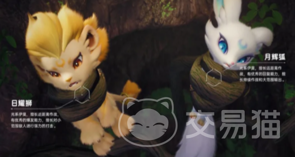 伊莫宠物二选一攻略 伊莫宠物选择指南与实用对比分析