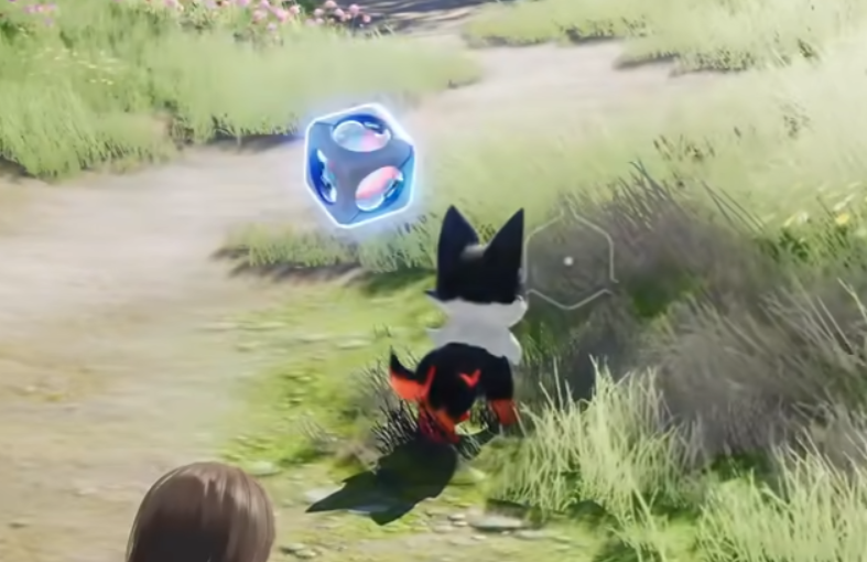 伊莫二测时间公布 伊莫公测日期及测试安排详情