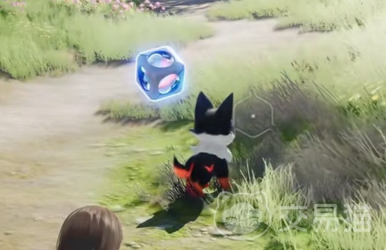 伊莫二测时间公布 伊莫公测日期及测试安排详情