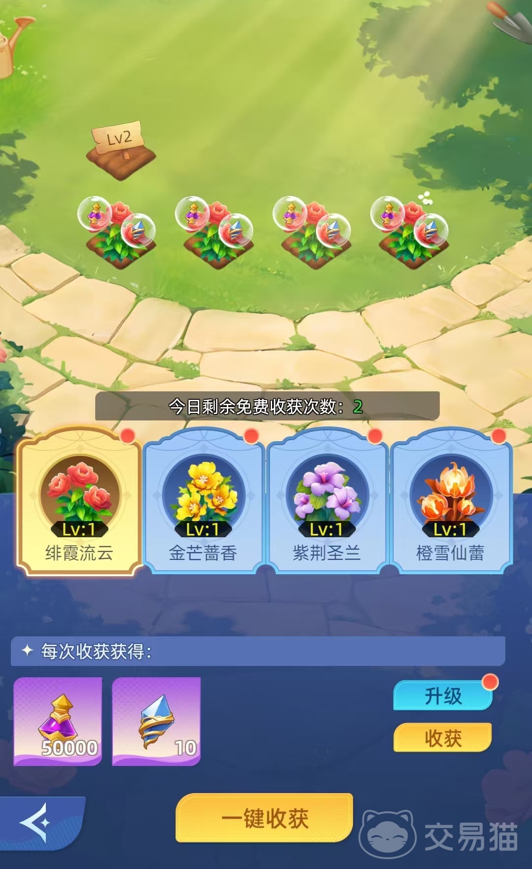 神召大陆花语仙境怎么玩 神召大陆花语仙境新手入门与全玩法攻略