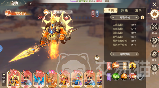 星神纪元宠物玩法全解析 星神纪元宠物养成进阶指南