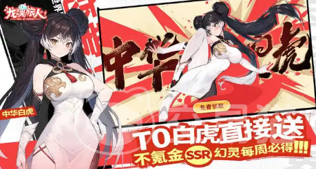 龙魂旅人白虎阵容搭配指南 龙魂旅人高爆发速攻流白虎队伍构建与角色养成技巧