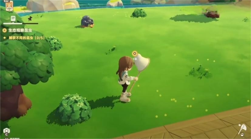 星布谷地抓蝴蝶攻略 星布谷地高效捕蝶技巧与路线推荐