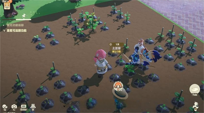 星布谷地好玩吗 星布谷地新手入门玩法与体验分享