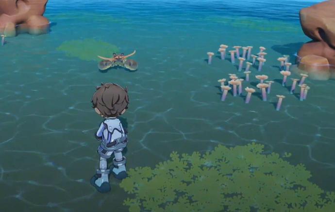 星布谷地抓龙虾攻略 星布谷地龙虾捕捉技巧与最佳点位详解