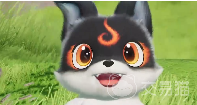 伊莫小炭犬介绍 伊莫小炭犬特点与实际表现分析