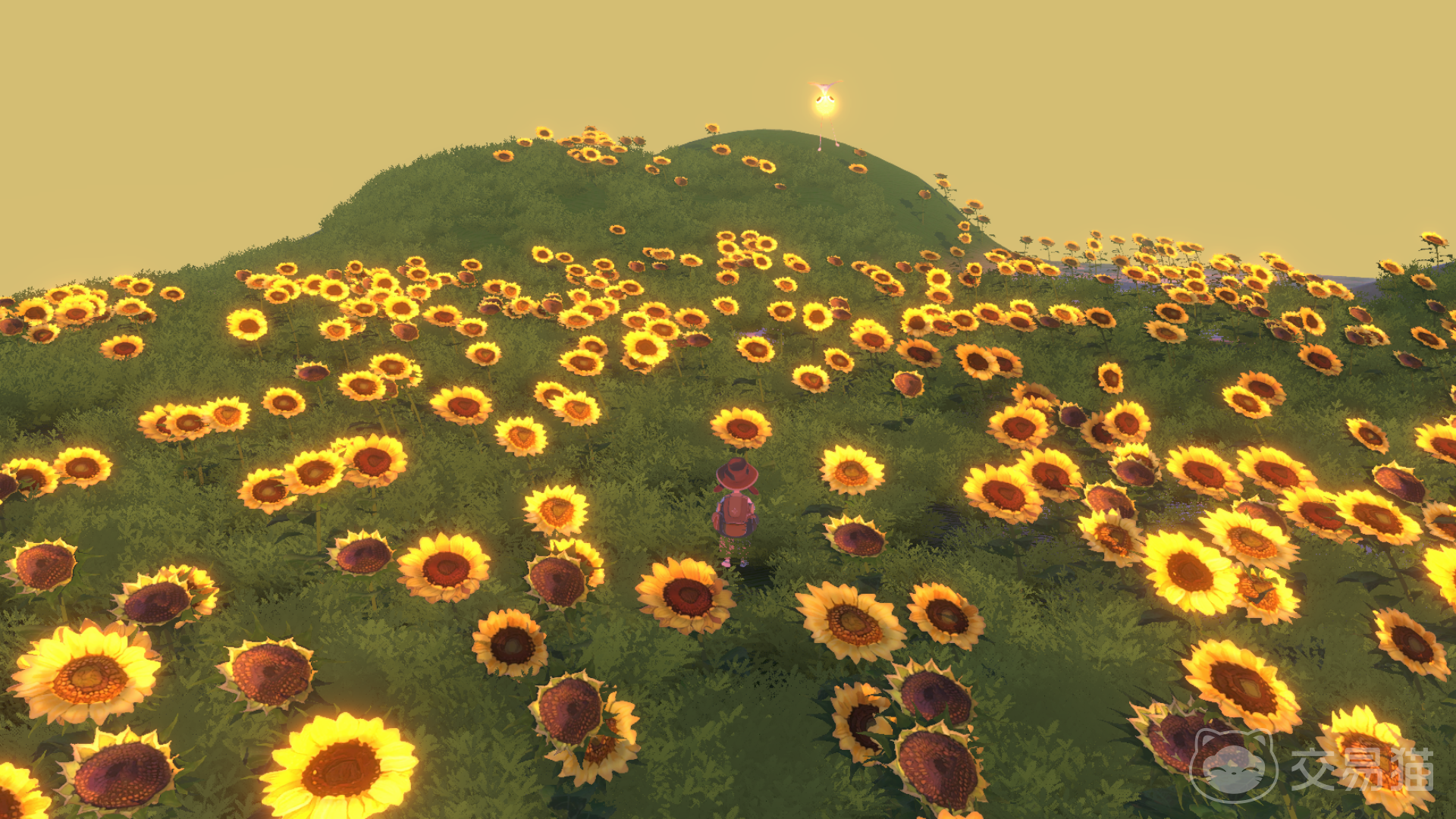 风与牧场兑换码大全 风与牧场最新礼包码汇总