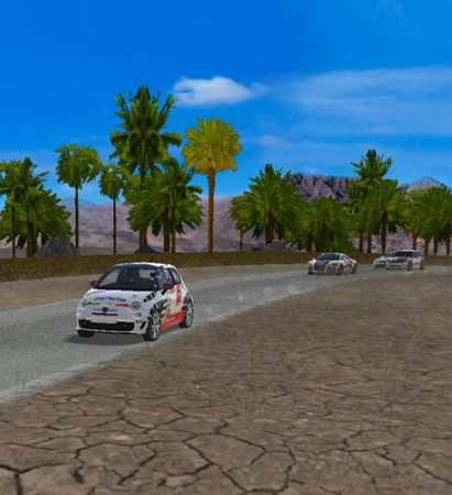 极速拉力赛车好玩吗 极速拉力赛车核心玩法与真实驾驶体验详解