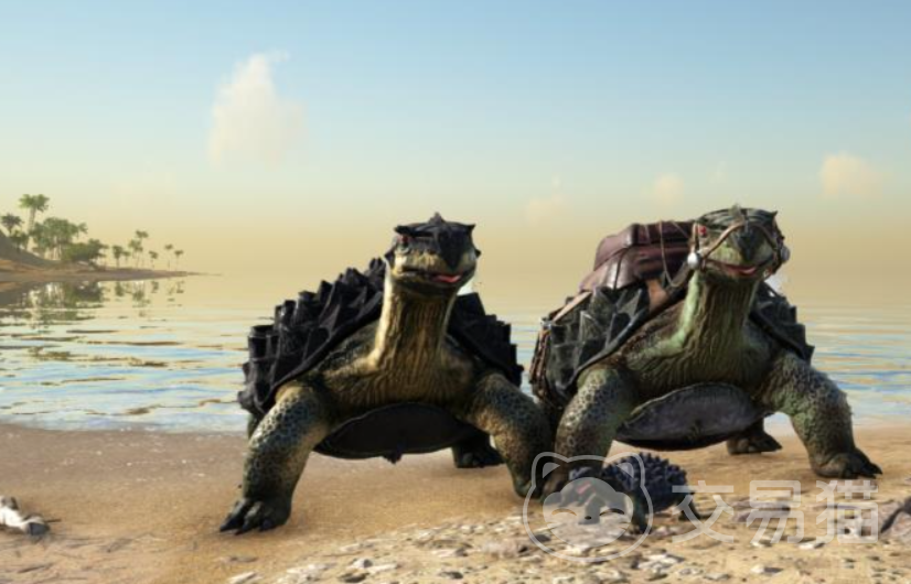 方舟生存进化手游碳龟蛋饲料制作方法 方舟生存进化手游淡水碳龟蛋高效喂养配方