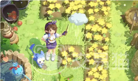 洛克王国世界周本价格一览 洛克王国世界周本费用详情与购买指南