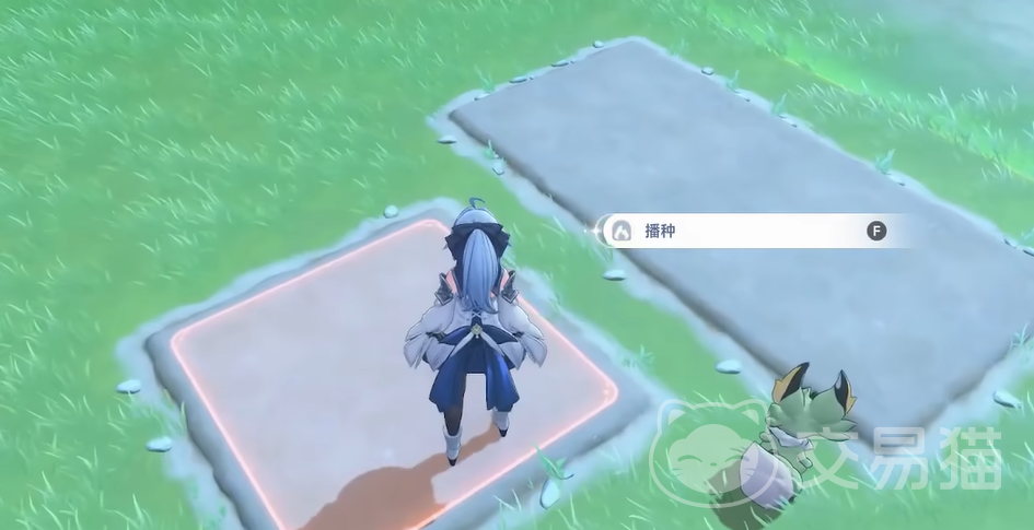 蓝色星原旅谣种菜玩法详解 蓝色星原旅谣种菜入门指南与高产技巧