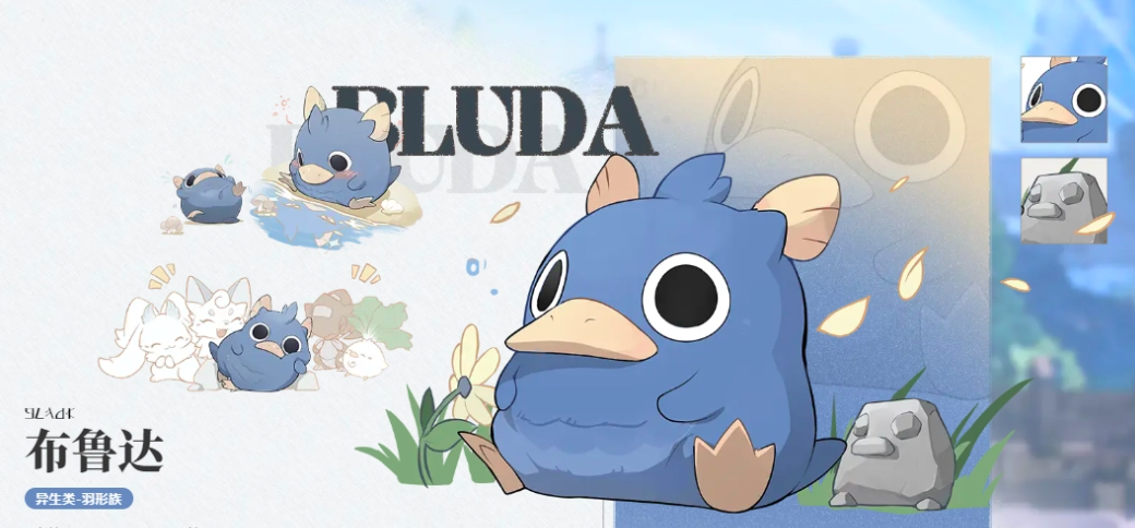 蓝色星原旅谣布鲁达角色解析 蓝色星原旅谣布鲁达技能机制与实战表现深度评测